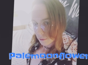 palemoonflower Mausi Privat