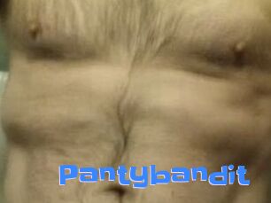 Pantybandit