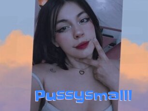 Pussysmalll