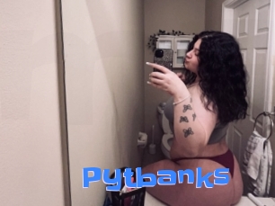 Pytbanks