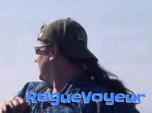RogueVoyeur