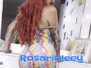 Rosarioleey