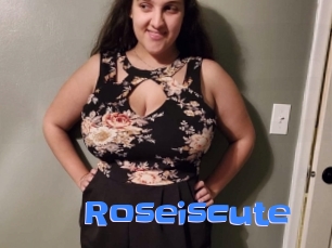 Roseiscute