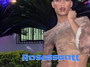 Rosesscott