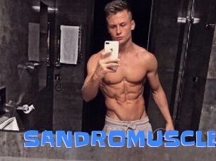 SANDRO_MUSCLE