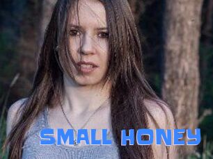 SMALL_HONEY