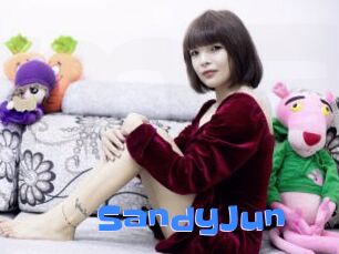 SandyJun