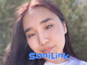 SaniLink