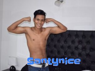 Santynice