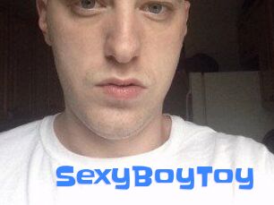SexyBoyToy