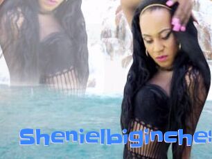 Shenielbiginches