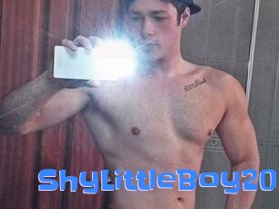 ShyLittleBoy20