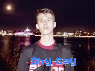 Shy_Gay