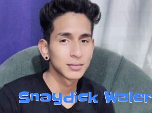 Snaydick_Waler