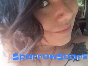 SparrowSoars