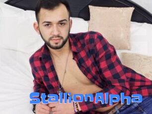 StallionAlpha