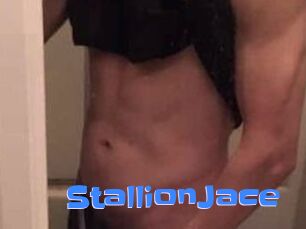 StallionJace