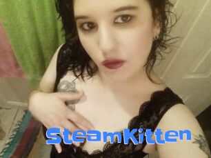 SteamKitten