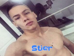 Stier