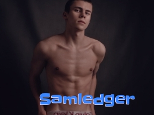 Samledger
