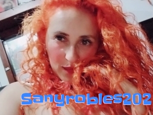 Sanyrobles202