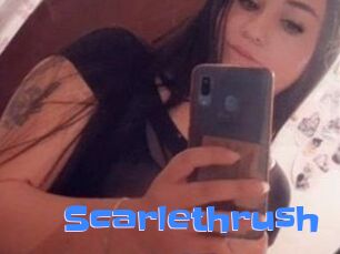 Scarlethrush