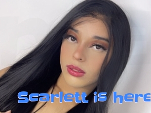 Scarlett_is_here