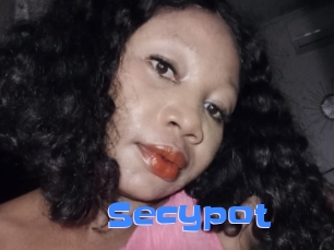 Secypot