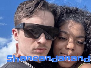 Shaneandananda