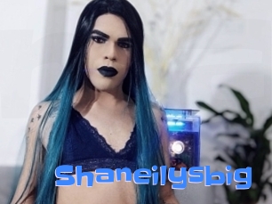 Shaneilysbig