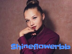 Shineflowerbb