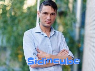 Sid_incube