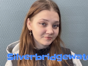 Silverbridgewate