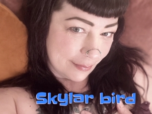 Skylar_bird