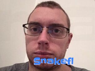 Snakefl