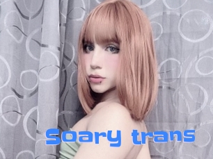 Soary_trans