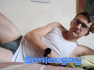 Sonicegay