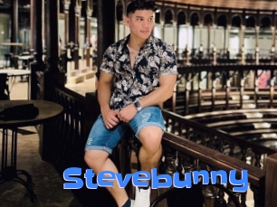 Stevebunny