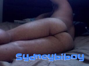 Sydneybiboy