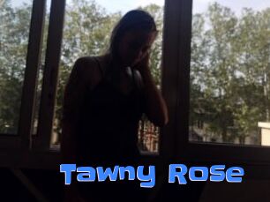 Tawny_Rose