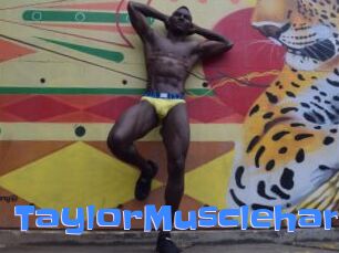 TaylorMusclehard