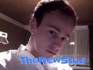 TheNewStud