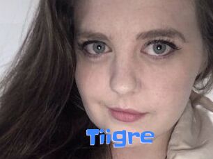 Tiigre_