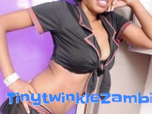 TinytwinkleZambia