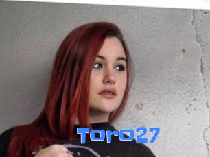 Toro27