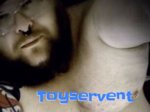 Toyservent