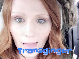 Transginger