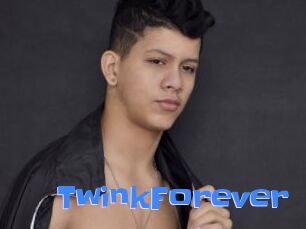 TwinkForever