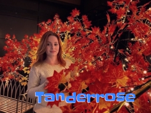 Tanderrose