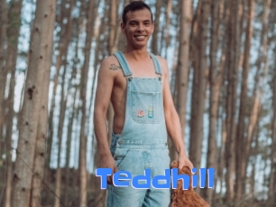 Teddhill